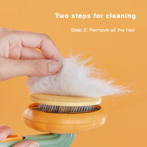 Pumpkin Pet Brush, Self Cleaning Slicker Brush